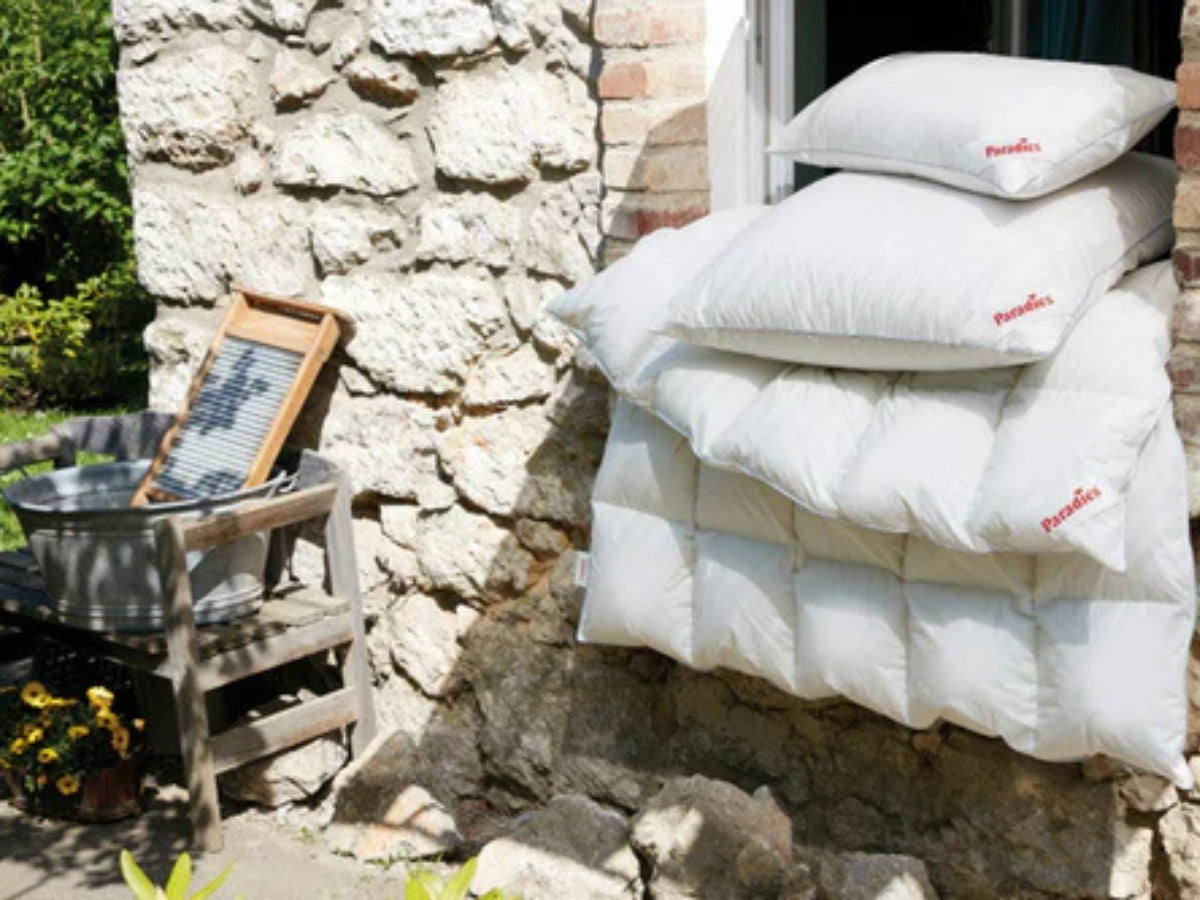 Daunenkissen und Decken für Allergiker