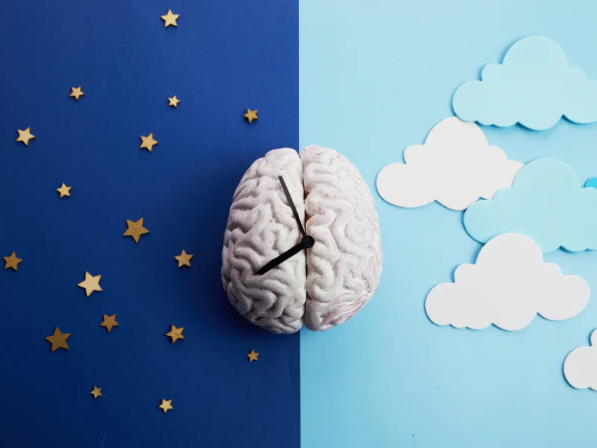 Langschläfer und Frühaufsteher – weshalb es unterschiedliche Schlaftypen gibt