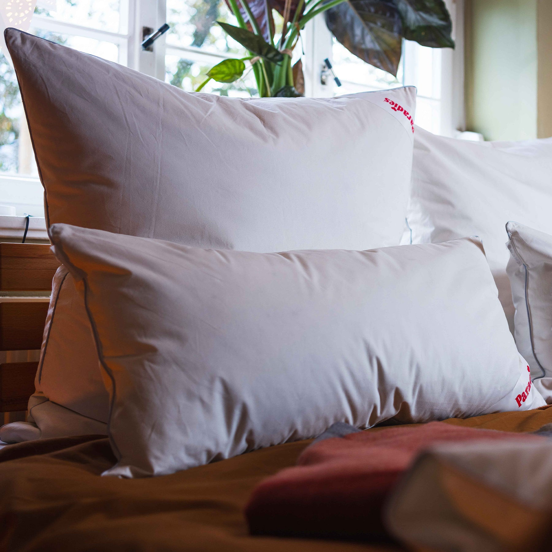 Kopfkissen-Collection