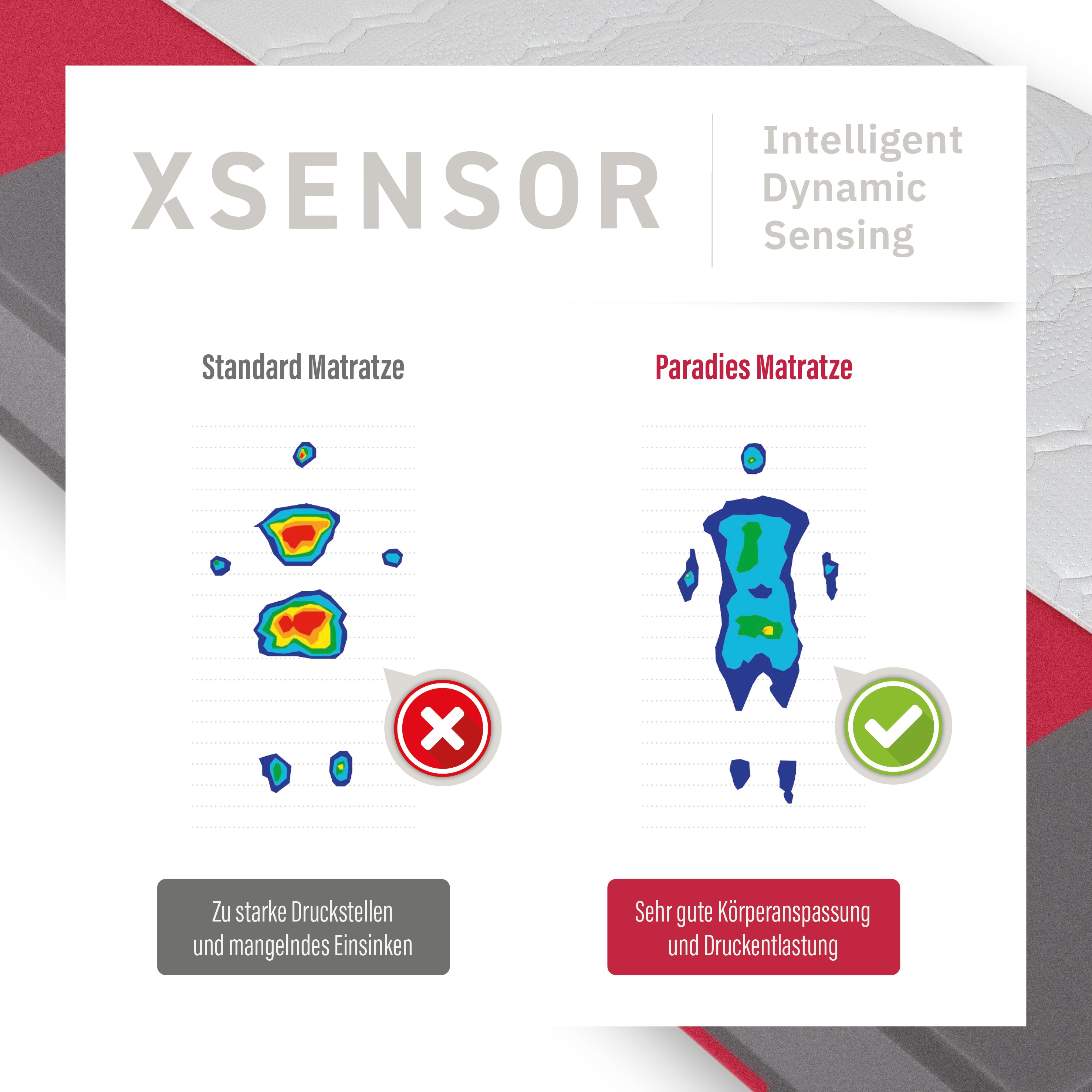 Prolife Supreme · 7-Zonen Taschenfederkern