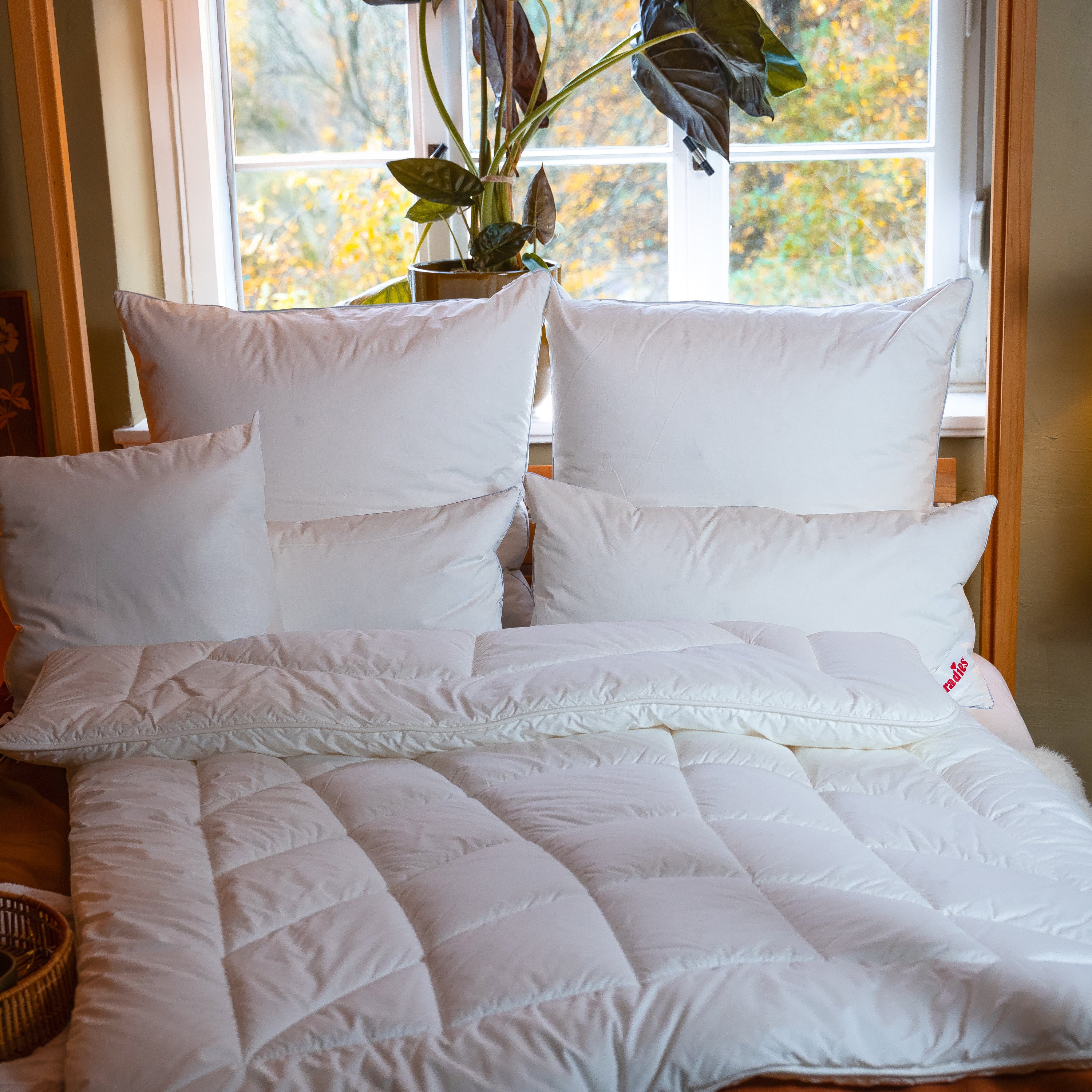 Runa Bio · FASER · Winterdecke